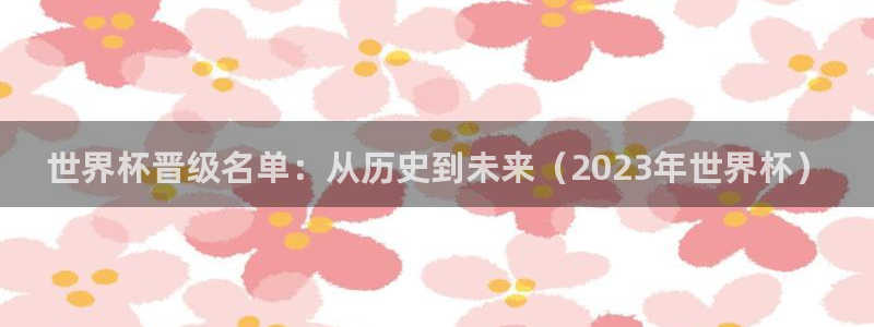 世界杯欧洲区赛程：世界杯晋级名单：从历史到未来（2023年世界杯）