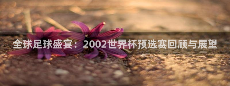 世俱杯直播：全球足球盛宴：2002世界杯预选赛回顾与展望