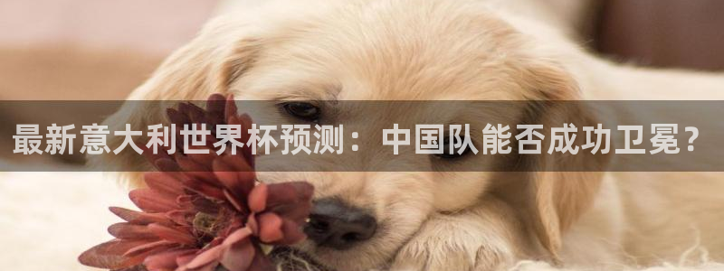 世界杯决赛直播：最新意大利世界杯预测：中国队能否成功卫冕？