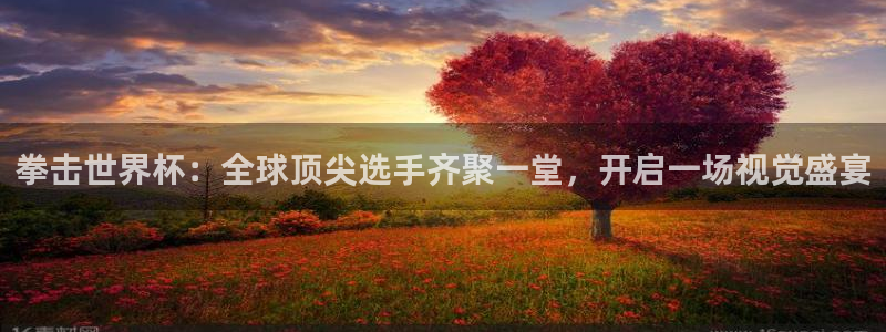 亚洲区世界杯预选赛：拳击世界杯：全球顶尖选手齐聚一堂，开启一场视觉盛宴