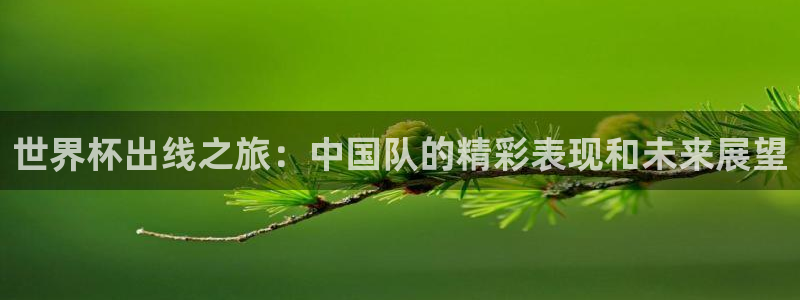 欧洲世界杯预选赛：世界杯出线之旅：中国队的精彩表现和未来展望
