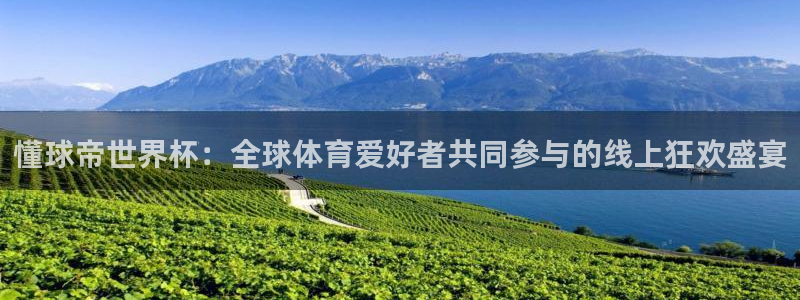 世界杯附加赛赛程表：懂球帝世界杯：全球体育爱好者共同参与的线上狂欢盛宴