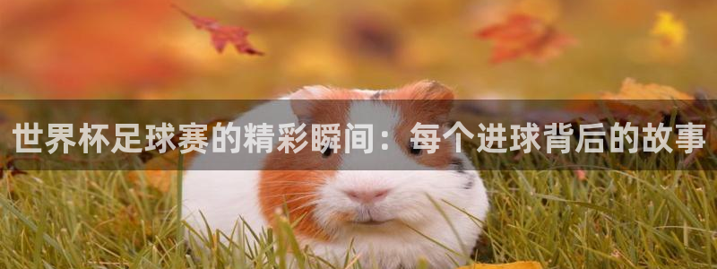 欧洲世预赛赛程表：世界杯足球赛的精彩瞬间：每个进球背后的故事