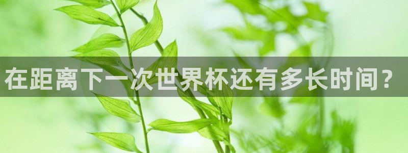 世界杯直播高清：在距离下一次世界杯还有多长时间？