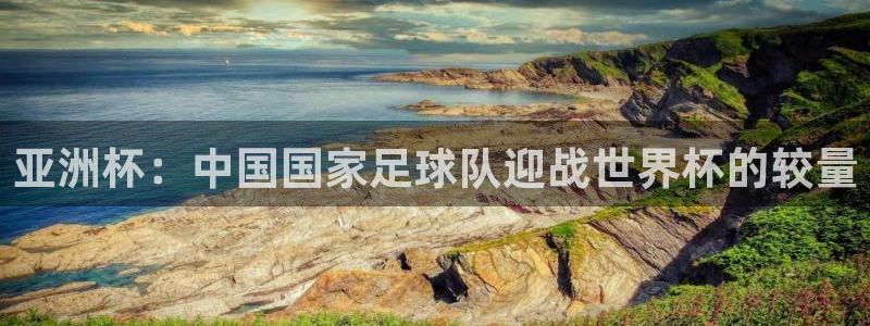 2026年男足世界杯：亚洲杯：中国国家足球队迎战世界杯的较量
