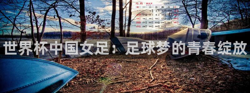 2026世界杯日期：世界杯中国女足：足球梦的青春绽放
