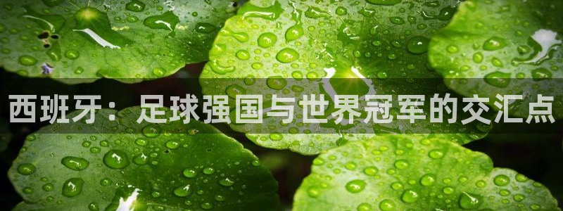 世预赛赛程表：西班牙：足球强国与世界冠军的交汇点