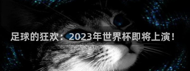世界杯亚洲区预选赛赛程表：足球的狂欢：2023年世界杯即将上演！